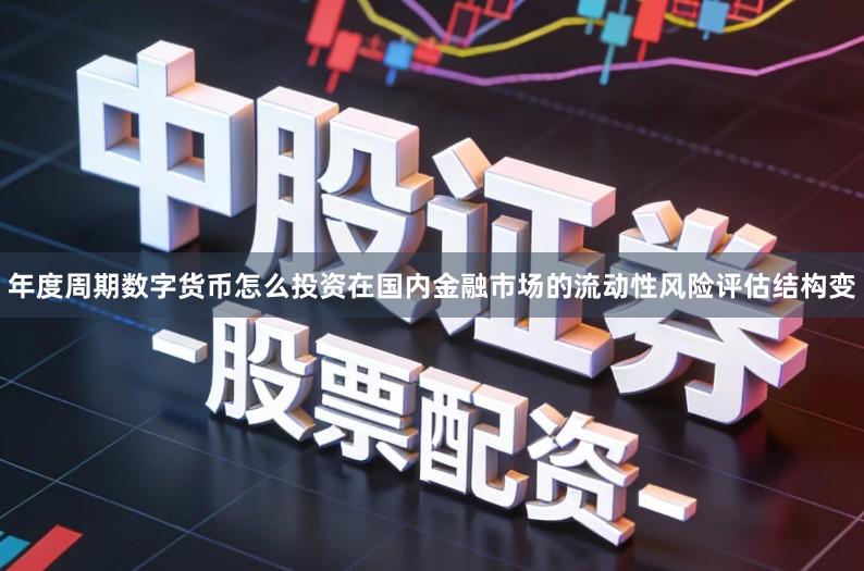 年度周期数字货币怎么投资在国内金融市场的流动性风险评估结构变
