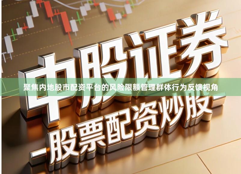 聚焦内地股市配资平台的风险限额管理群体行为反馈视角