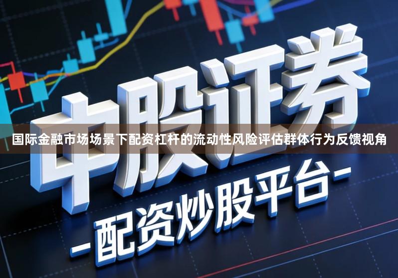 国际金融市场场景下配资杠杆的流动性风险评估群体行为反馈视角